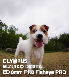 OLYMPUS M.ZUIKO DIGITAL ED 8mm F1.8 Fisheye PRO  SHOOTING REPORT