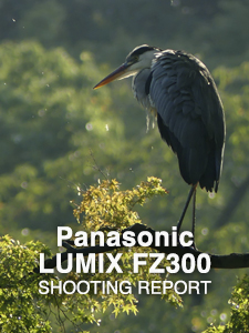 Panasonic LUMIX FZ300  SHOOTING REPORT