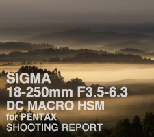 SIGMA 18-250mm F3.5-6.3 DC MACRO HSM  SHOOTING REPORT