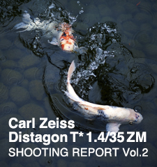 Carl Zeiss Distagon T* 1.4/35 ZM | SHOOTING REPORT