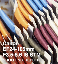 Canon EF24-105mm  F3.5-5.6 IS STM  SHOOTING REPORT