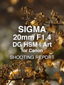 SIGMA 20mm F1.4 DG HSM | Art for Canon  SHOOTING REPORT