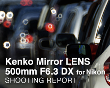 Kenko Mirror Lens 500mm F6.3 for Nikon  SHOOTING REPORT