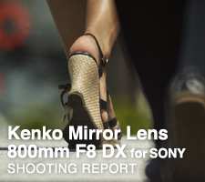 Kenko Mirror Lens 800mm F8 DX for SONY  SHOOTING REPORT