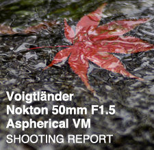 Voigtländer Nokton 50mm F1.5 Aspherical VM  SHOOTING REPORT