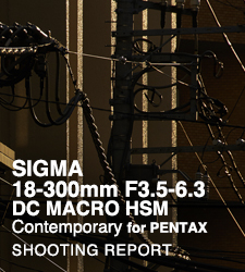 SIGMA 18-300mm F3.5-6. 3DC MACRO HSM | Contemporary for PENTAX  SHOOTING REPORT