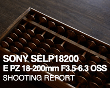 SONY SELP18200 E PZ 18-200mm F3.5-6.3 OSS  SHOOTING REPORT
