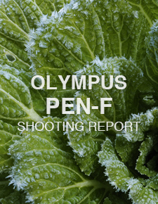 OLYMPUS PEN F  SHOOTING REPORT