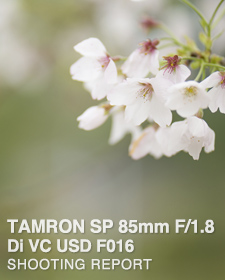 TAMRON SP 85mm F/1.8 Di VC USD F016 for Canon SHOOTING REPORT
