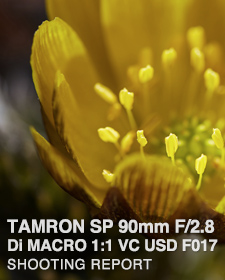 TAMRON SP 90mm F/2.8 Di MACRO 1:1 VC USD F016 for Canon SHOOTING REPORT