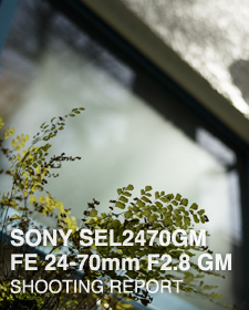 SONY SEL2470GM FE 24-70mm F2.8 GM SHOOTING REPORT