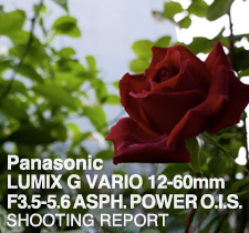 LUMIX G VARIO 12-60mm F3.5-5.6 ASPH. POWER O.I.S.  SHOOTING REPORT