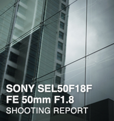SONY SEL50F18F FE 50mm F1.8 SHOOTING REPORT