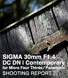 SIGMA 30mm F1.4 DC DN | Contemporary for Micro Four Thirds / Panasonic SHOOTING REPORT