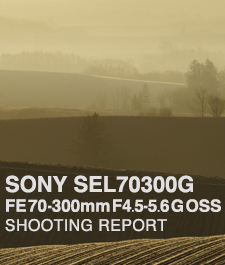 SONY SEL70300G FE 70-300mm F4.5-5.6 G OSS  SHOOTING REPORT