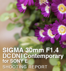 SIGMA 30mm F1.4 DC DN | Contemporary for SONY E  SHOOTING REPORT