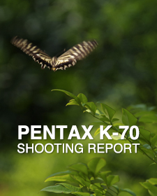PENTAX K-70  SHOOTING REPORT