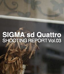 SIGMA sd Quattro  SHOOTING REPORT Vol.03