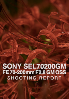 SONY SEL70200GM FE 70-200mm F2.8 GM OSS  SHOOTING REPORT