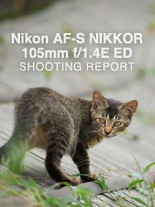 Nikon AF-S NIKKOR 105mm f/1.4E ED  SHOOTING REPORT