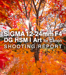SIGMA 12-24mm F4 DG HSM | Art  SHOOTING REPORT