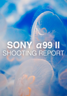 SONY α99 II  SHOOTING REPORT