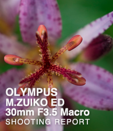 M.ZUIKO DIGITAL ED 30mm F3.5 Macro  SHOOTING REPORT