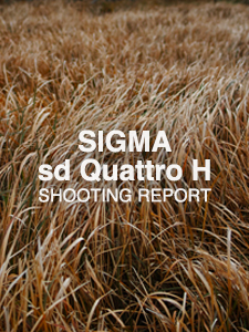 SIGMA sd Quattro H  SHOOTING REPORT