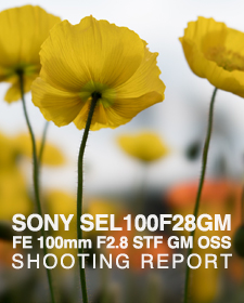 SONY SEL100F28GM FE 100mm F2.8 STF GM OSS  SHOOTING REPORT