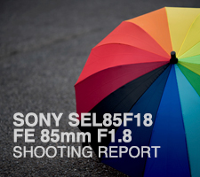 SONY SEL85F18 FE 85mm F1.8  SHOOTING REPORT