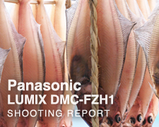 Panasonic LUMIX DMC-FZH1  SHOOTING REPORT