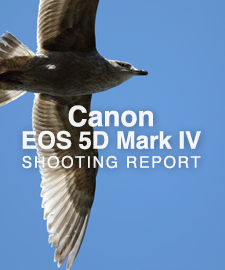 Canon EOS 5D Mark IV  SHOOTING REPORT