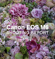 Canon EOS M6  SHOOTING REPORT