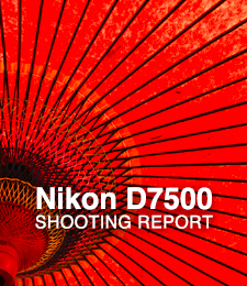 Nikon D7500  SHOOTING REPORT