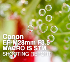 Canon EF-M28mm F3.5 MACRO IS STM  SHOOTING REPORT