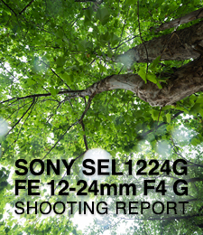 SONY SEL1224G FE 12-24mm F4 G  SHOOTING REPORT