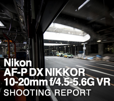 Nikon AF-P DX NIKKOR 10-20mm f/4.5-5.6G VR  SHOOTING REPORT