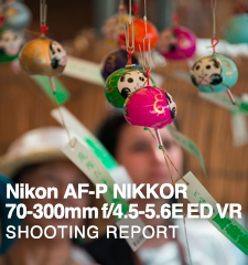Nikon AF-P NIKKOR 70-300mm f/4.5-5.6E ED VR  SHOOTING REPORT