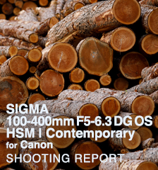 SIGMA 100-400mm F5-6.3 DG OS HSM | Contemporary  SHOOTING REPORT