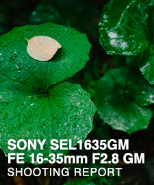 SONY SEL1635GM 16-35mm F2.8 GM  SHOOTING REPORT