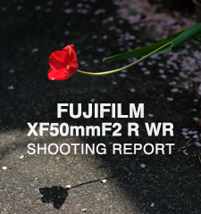 FUJIFILM XF50mmF2 R WR  SHOOTING REPORT