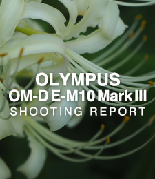 OLYMPUS OM-D E-M10 Mark III  SHOOTING REPORT