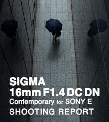 SIGMA 16mm F1.4 DC DN | Contemporary for SONY E  SHOOTING REPORT