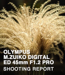 OLYMPUS M.ZUIKO DIGTAL ED 45mm F1.2 PRO  SHOOTING REPORT
