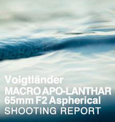 Voigtländer MACRO APO-LANTHAR 65mm F2 Aspherical for SONY E  SHOOTING REPORT
