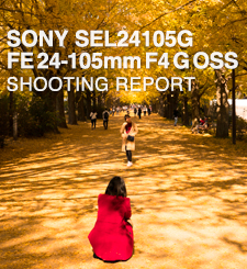 SONY SEL24105G FE 24-105mm F4 G OSS  SHOOTING REPORT