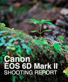 Canon EOS 6D Mark II  SHOOTING REPORT