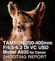 TAMRON 100-400mm F/4.5-6.3 Di VC USD Model A035 for Canon  SHOOTING REPORT