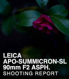 LEICA APO-SUMMICRON-SL 90mm F2 ASPH.  SHOOTING REPORT