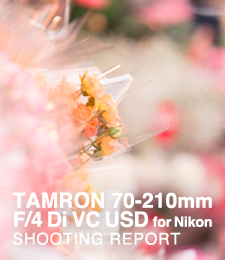 TAMRON 70-210mm F/4 Di VC USD Model A034 for Nikon  SHOOTING REPORT